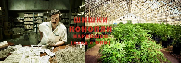 каннабис Баксан