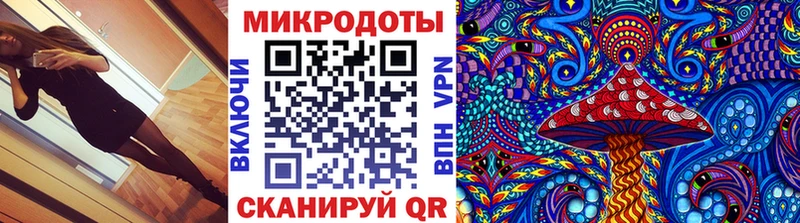 купить наркотики сайты  Магас  Галлюциногенные грибы Magic Shrooms 
